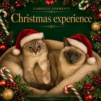 Copertina di Christmas Experience